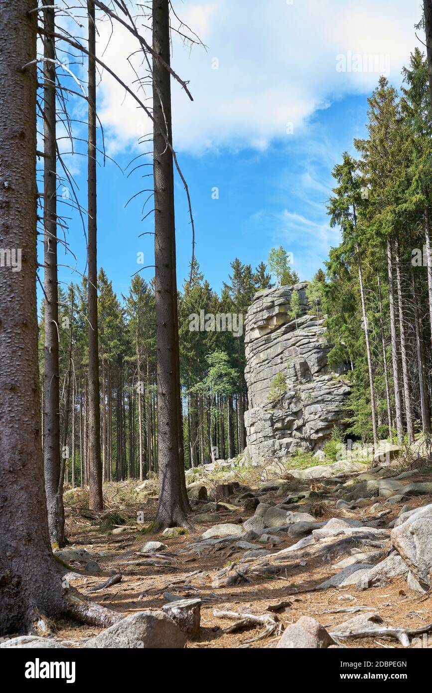 Feuersteinklippe bei Schierke im Nationalpark Harz in Deutschland Stockfoto