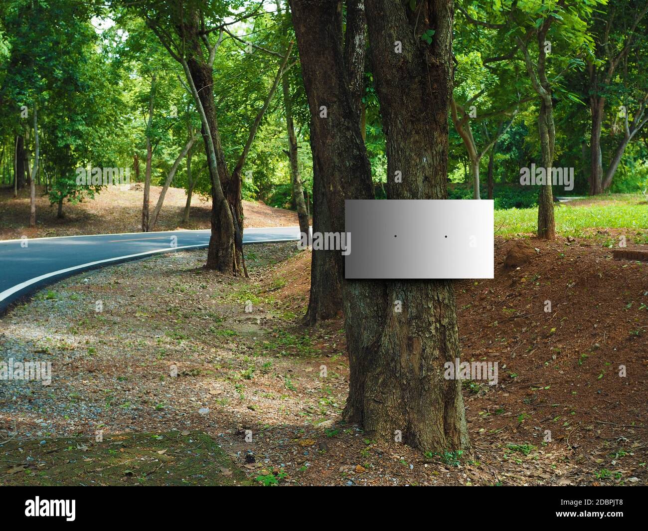 Ein leeres Quadrat Zeichen auf einem Baum in den Sathorn Gärten. Stockfoto