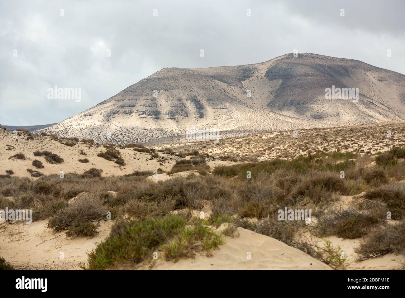 Die Wüstenlandschaft Costa Calma auf Fuerteventura. Kanarische Inseln. Spanien Stockfoto