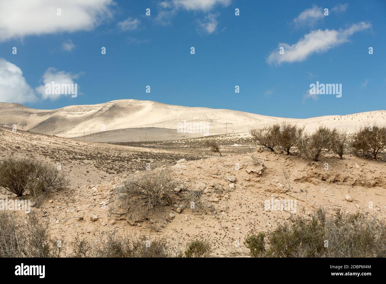 Die Wüstenlandschaft Costa Calma auf Fuerteventura. Kanarische Inseln. Spanien Stockfoto