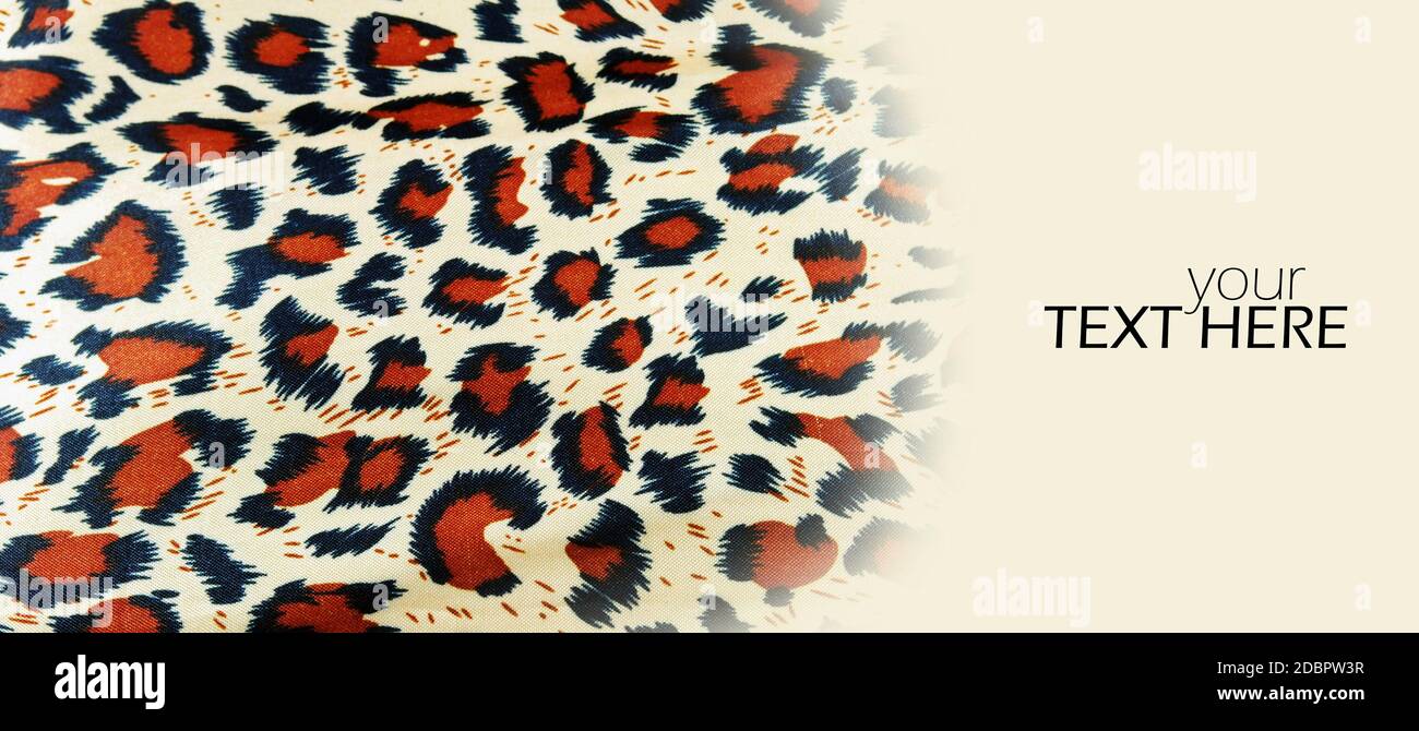 Leopard Hintergrund mit dem Kopierraum Stockfoto