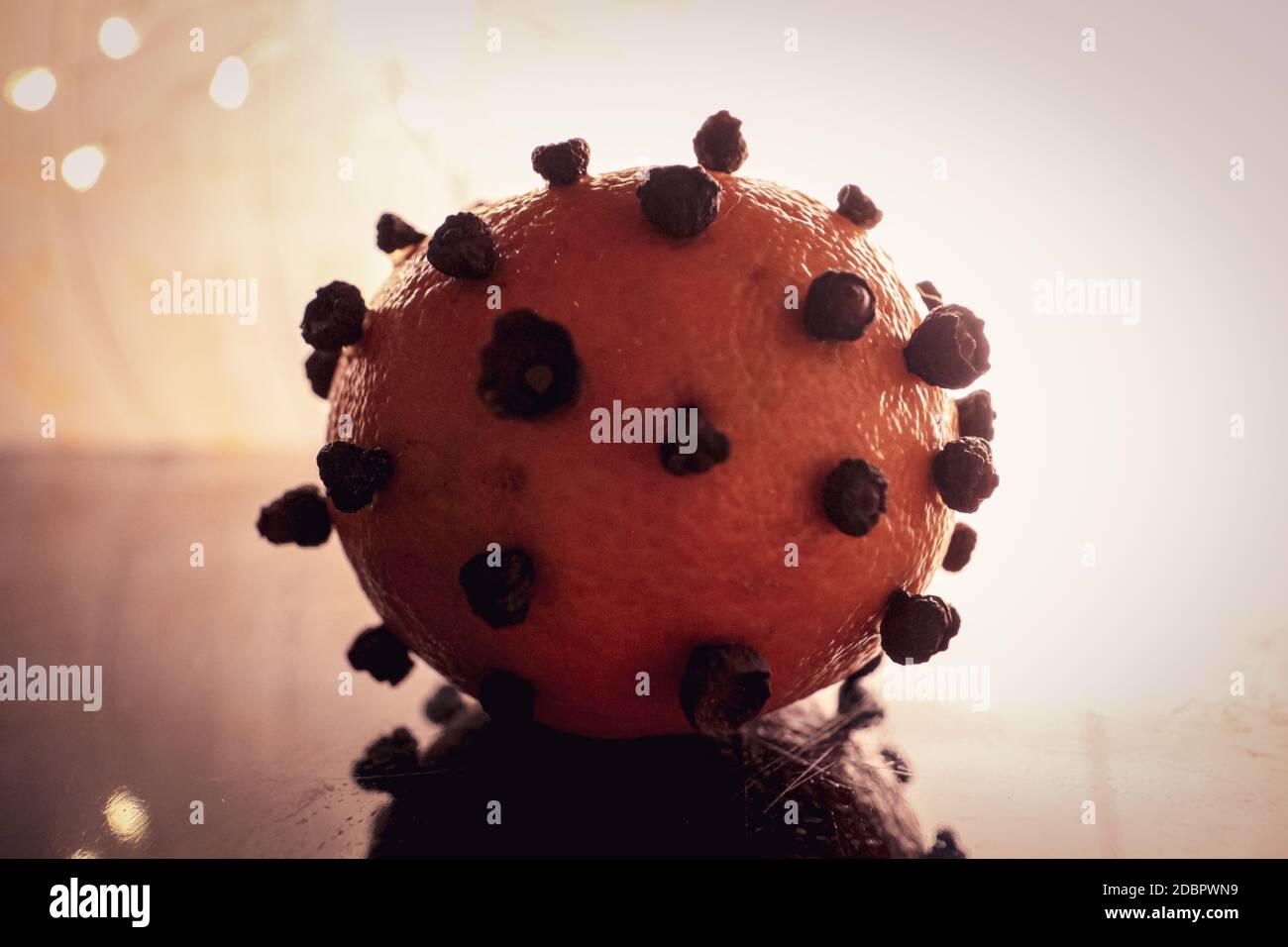 Pomander mit Mandarine und getrockneten Zimtblüten. Traditioneller Raumduft und Konzept der weihnachtszeit während der Coronavirus-Pandemie. Stockfoto