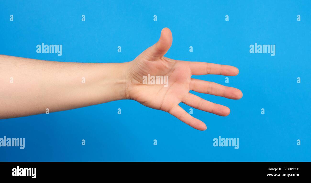 Ausgestreckte Hand des Menschen, offene Hand, Körperteil auf blauem Hintergrund, Nahaufnahme Stockfoto