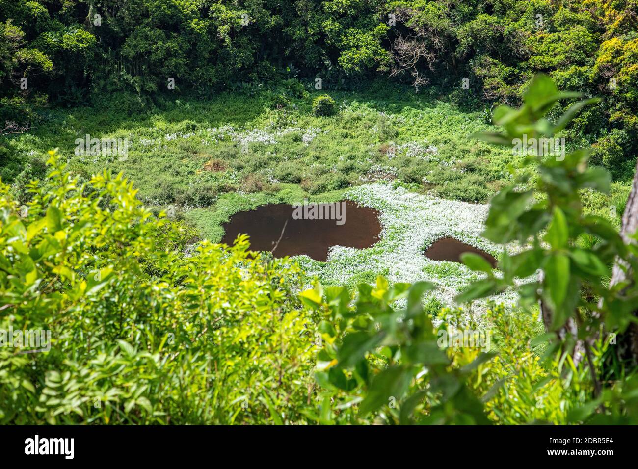 Trou aux cerfs vulkankrater Fotos und Bildmaterial in hoher Auflösung
