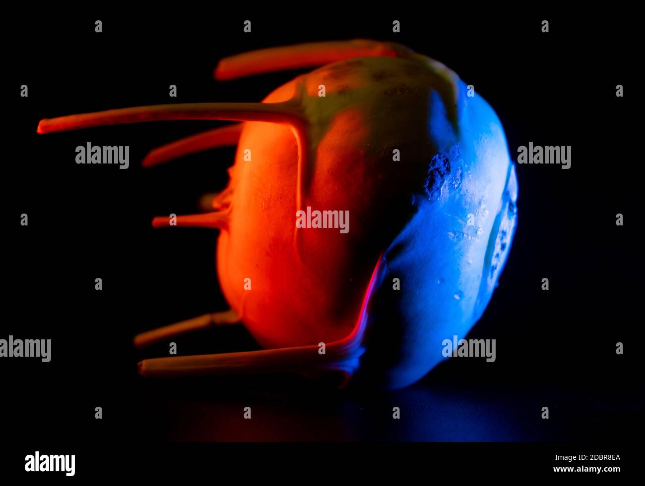 Bukarest, Rumänien - 03. Juli 2020: Ein blau-rot beleuchteter Kohlrabi, der wie ein Satellit aussieht. Stockfoto