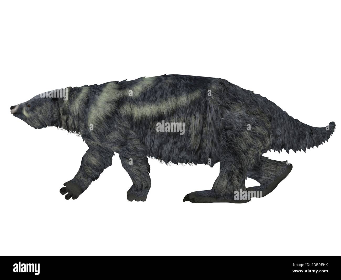 Eremotherium war eines der größten Boden Faultiere, die in Nord- und Südamerika in der pleistozänen Zeit lebte. Stockfoto