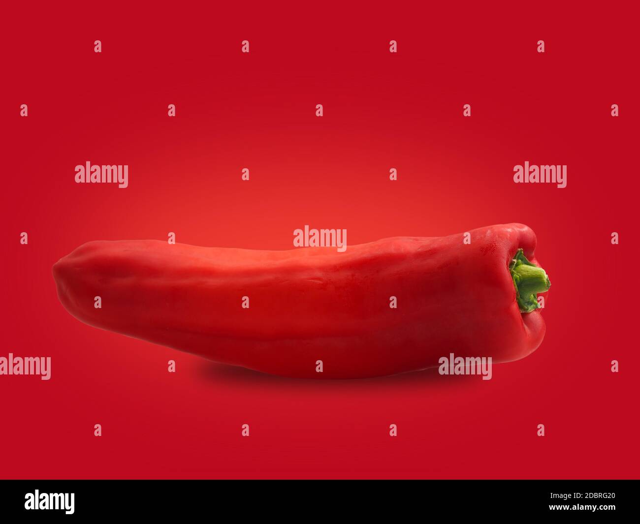 Ein organischer, spitzer Pfeffer auf rotem Hintergrund mit Platz für Text Stockfoto