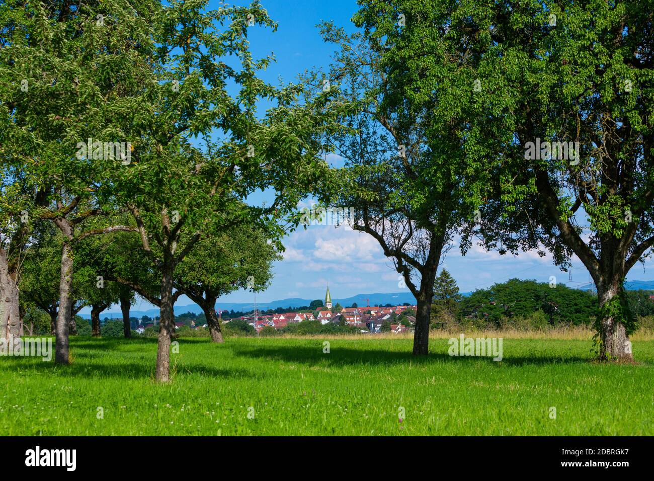 Ländlicher Ort Stuttgart Plieningen von einem Apfelgarten in der Nähe gesehen Von Stockfoto