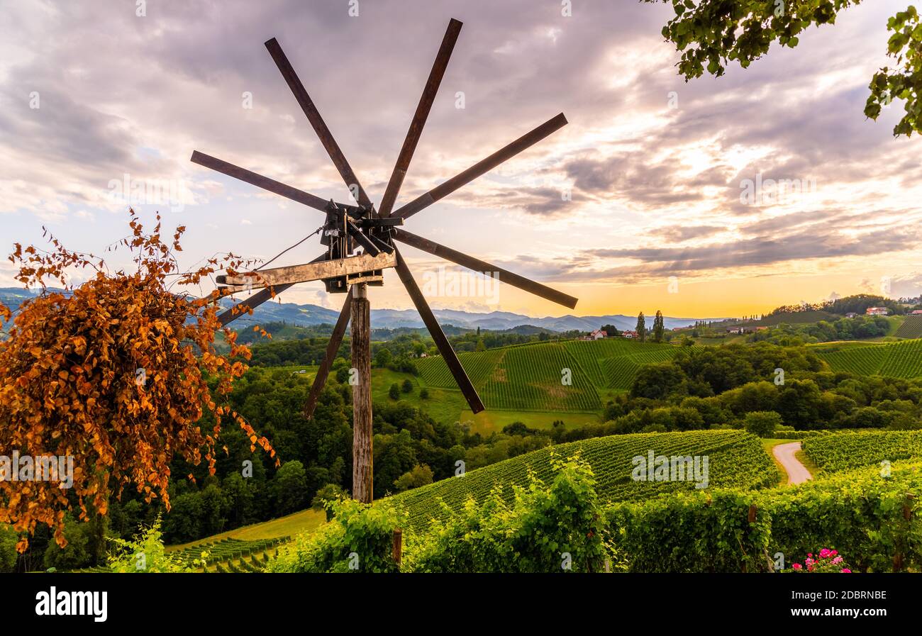 Steirische Toskana wie Weinberg mit Windmühle, Landschaft von Traubenkulturen während Sonnenuntergang, Steiermark, Österreich Stockfoto