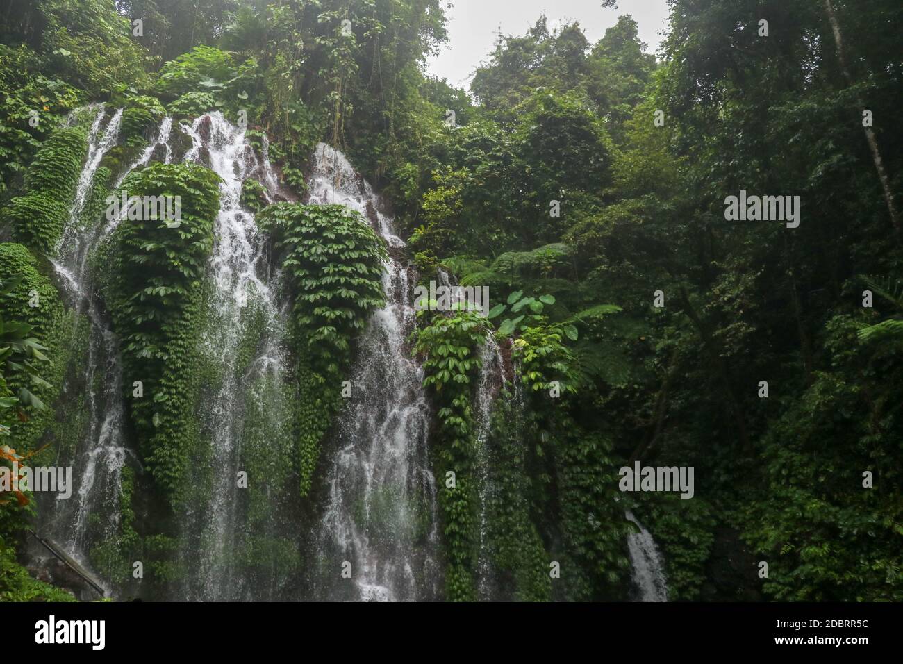 Wunderschöner malerischer Wasserfall hoch in den Bergen auf Bali. Wasser fließt in vielen Bächen über das Glas und zwischen ihnen wächst üppiges tropisches Gemüse Stockfoto