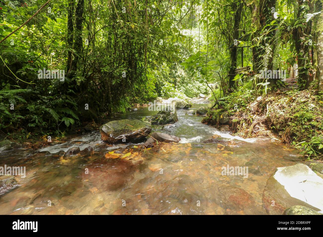 Rauschendes Wasser fließt durch Bachbett im Regenwald. Wasser fließen durch große Felsbrocken und in Yeh Ho Fluss. Das Wasser fließt durch die Steine crevic Stockfoto