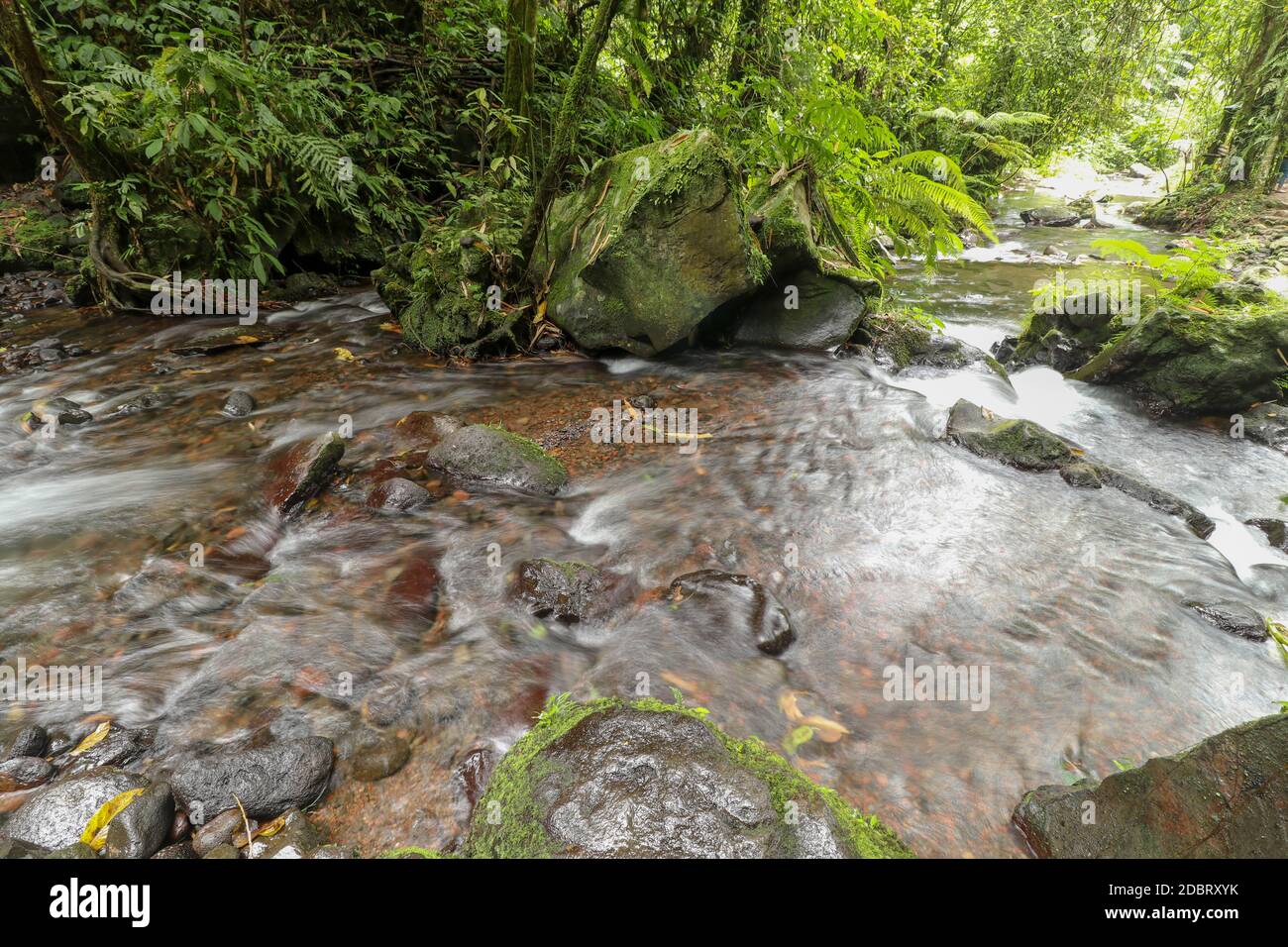 Kleine Gebirgsflüsse fließen zwischen Steinen in Berggebieten durch Wald. Naturlandschaft, mit einem sauberen Fluss eine schöne Landschaft, saubere Luft. E Stockfoto