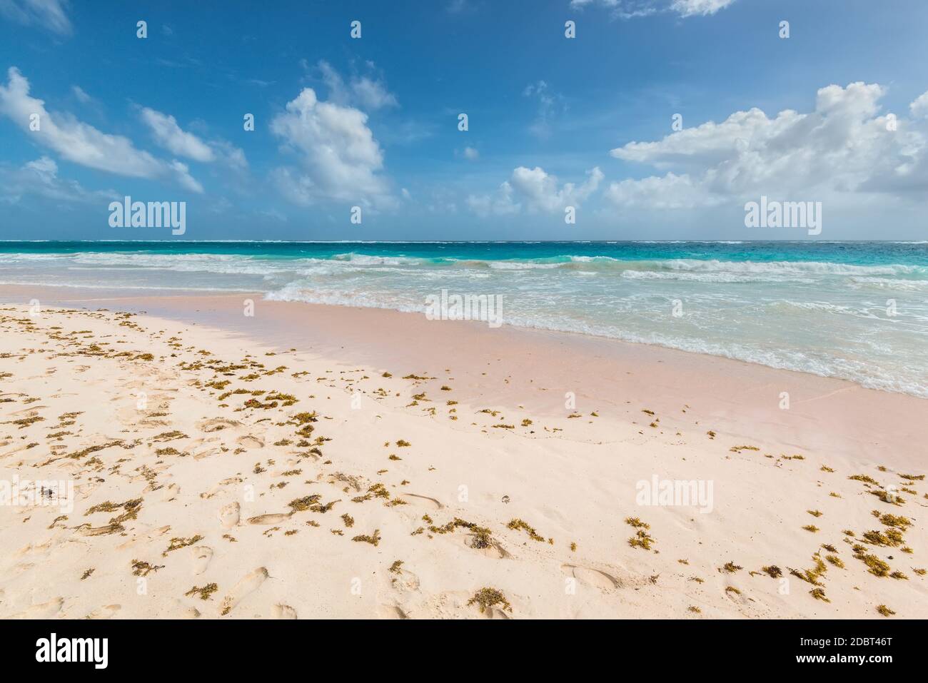 Tropischer Strand an der Karibik-Insel - Crane Beach, Barbados. Der Strand ist als eines der zehn besten Strände der Welt genannt worden und es hat die pi Stockfoto