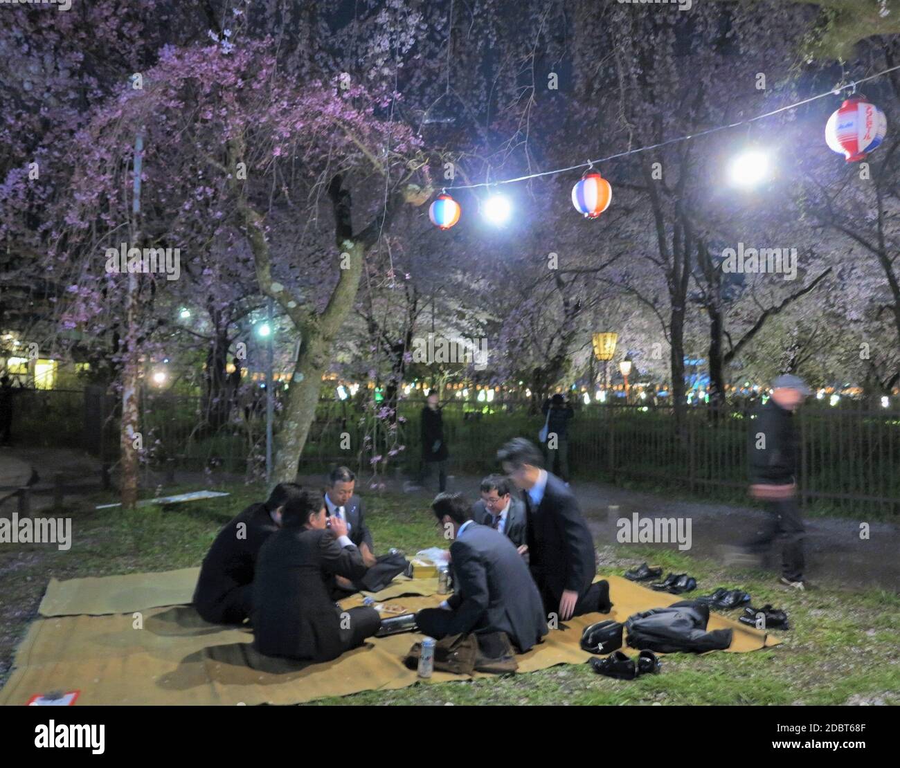 Hanami (Kirschblütenfest) im Hirano-Schrein, Kyoto, Japan. Betrunkene Geschäftsleute! Stockfoto