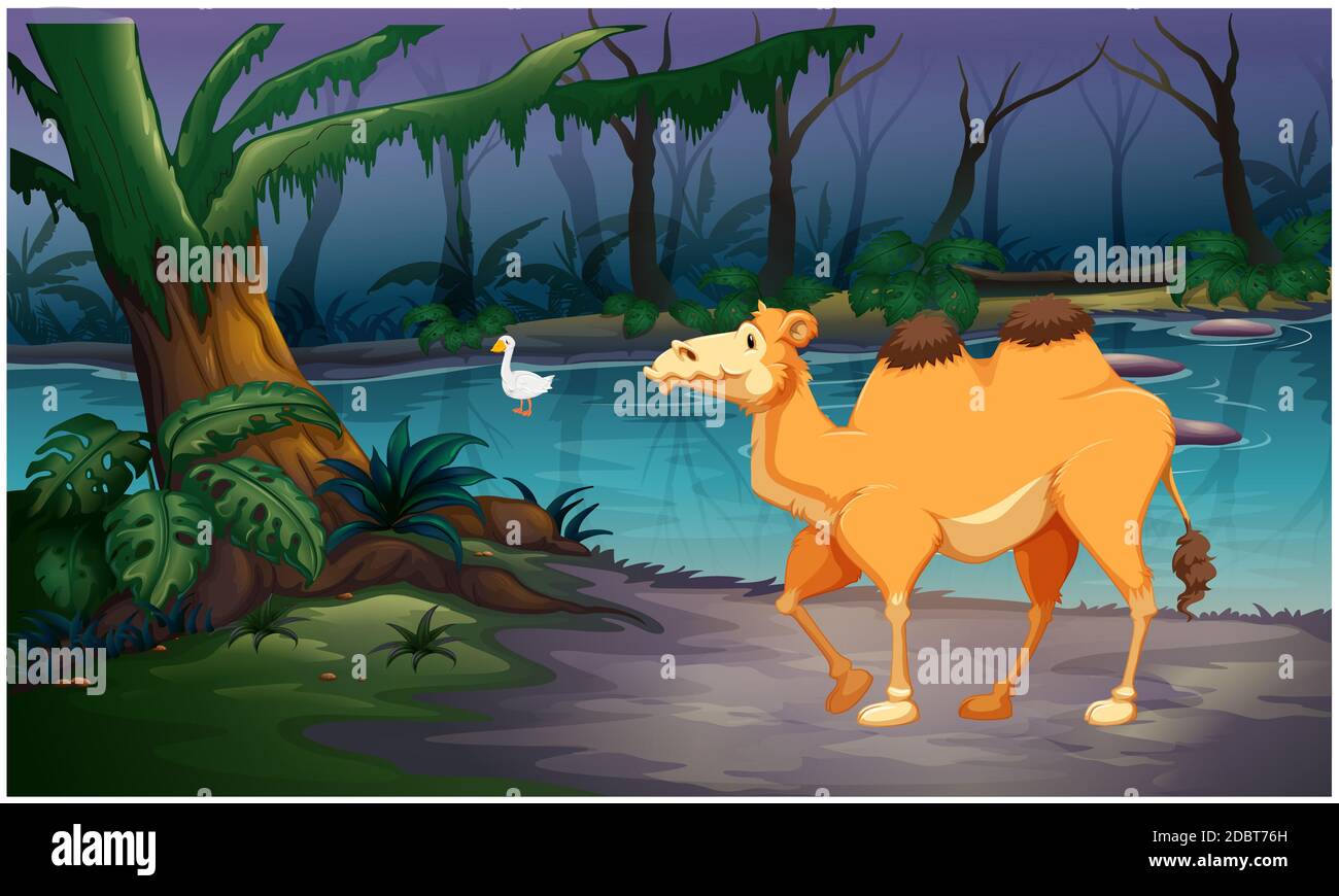 Kamel kommt, um Wasser im Wald zu trinken Fluss Stockfoto