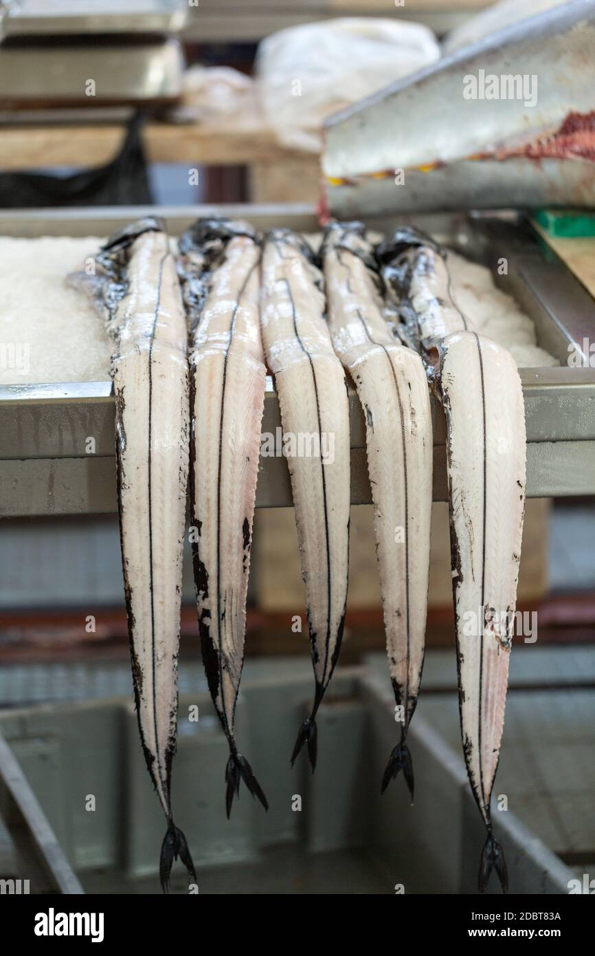 Fisch auf dem Markt, schwarze Scheide (espada) auf dem Fischmarkt Stockfoto