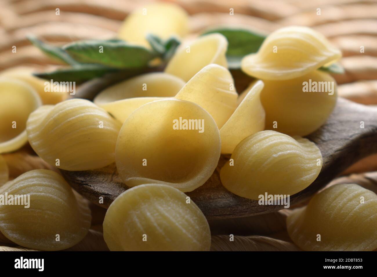 Die Olecchiette sind eine Art italienische Pasta Stockfoto