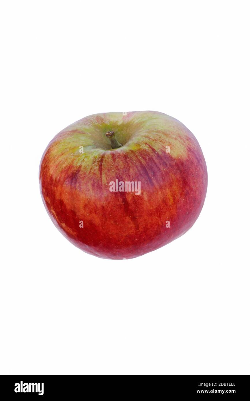 Cortland Apfel (Malus domestica Cortland). Hybrid zwischen Ben Davis und McIntosh Äpfel. Bild von einem einzelnen Apfel isoliert auf weißem Hintergrund Stockfoto