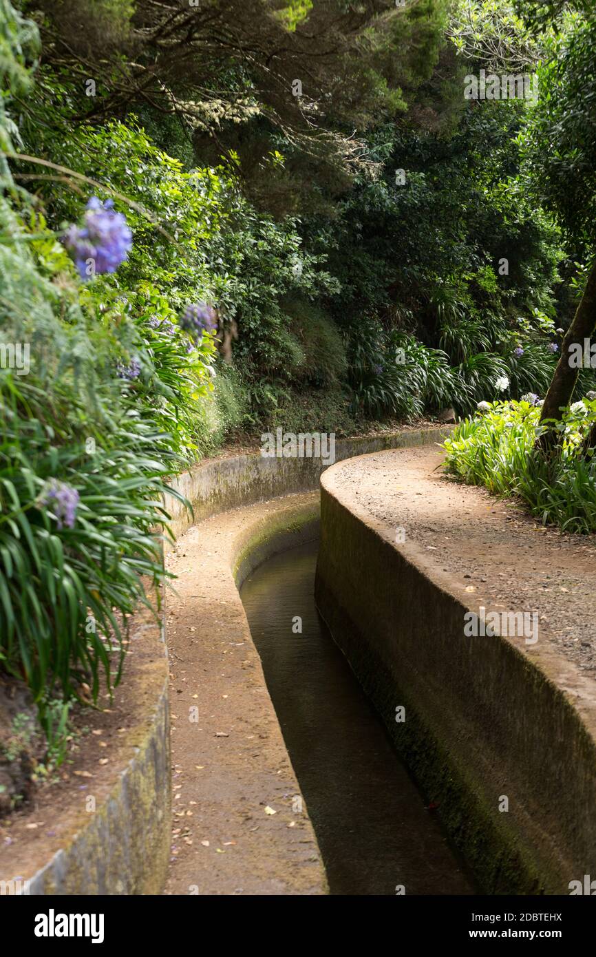 Levada do Norte in der Nähe von Boca da Encumeada auf Madeira. Portugal Stockfoto