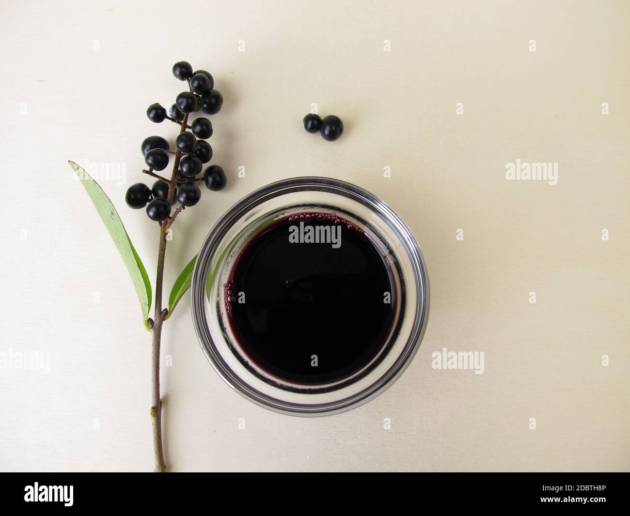 Schwarze violette Tinte aus Beerenfrüchten Stockfoto