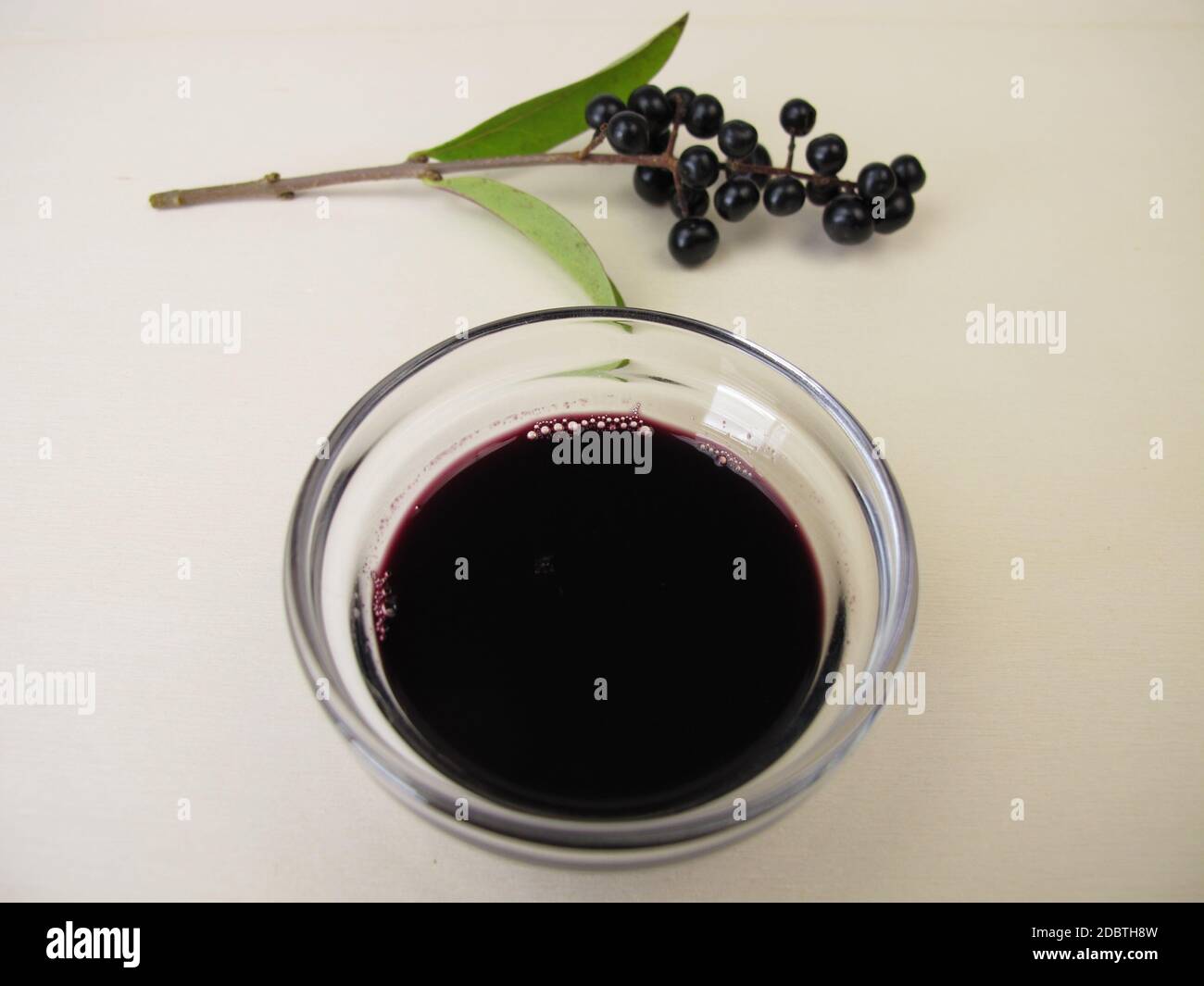 Schwarze violette Tinte aus Beerenfrüchten Stockfoto