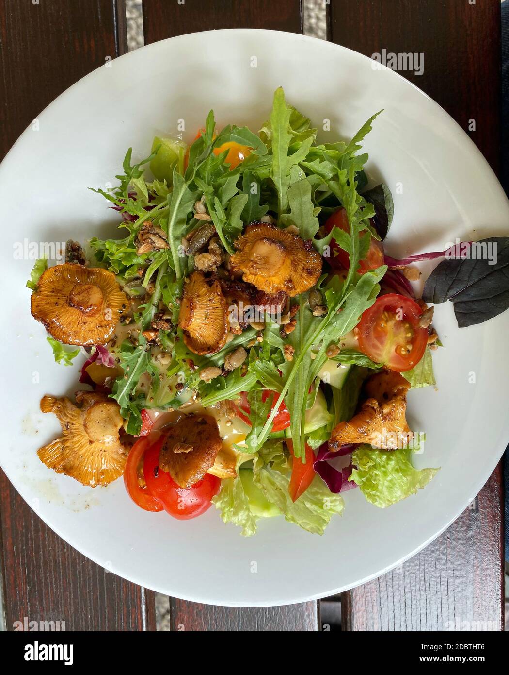 Salat mit Pfifferlingen Stockfoto