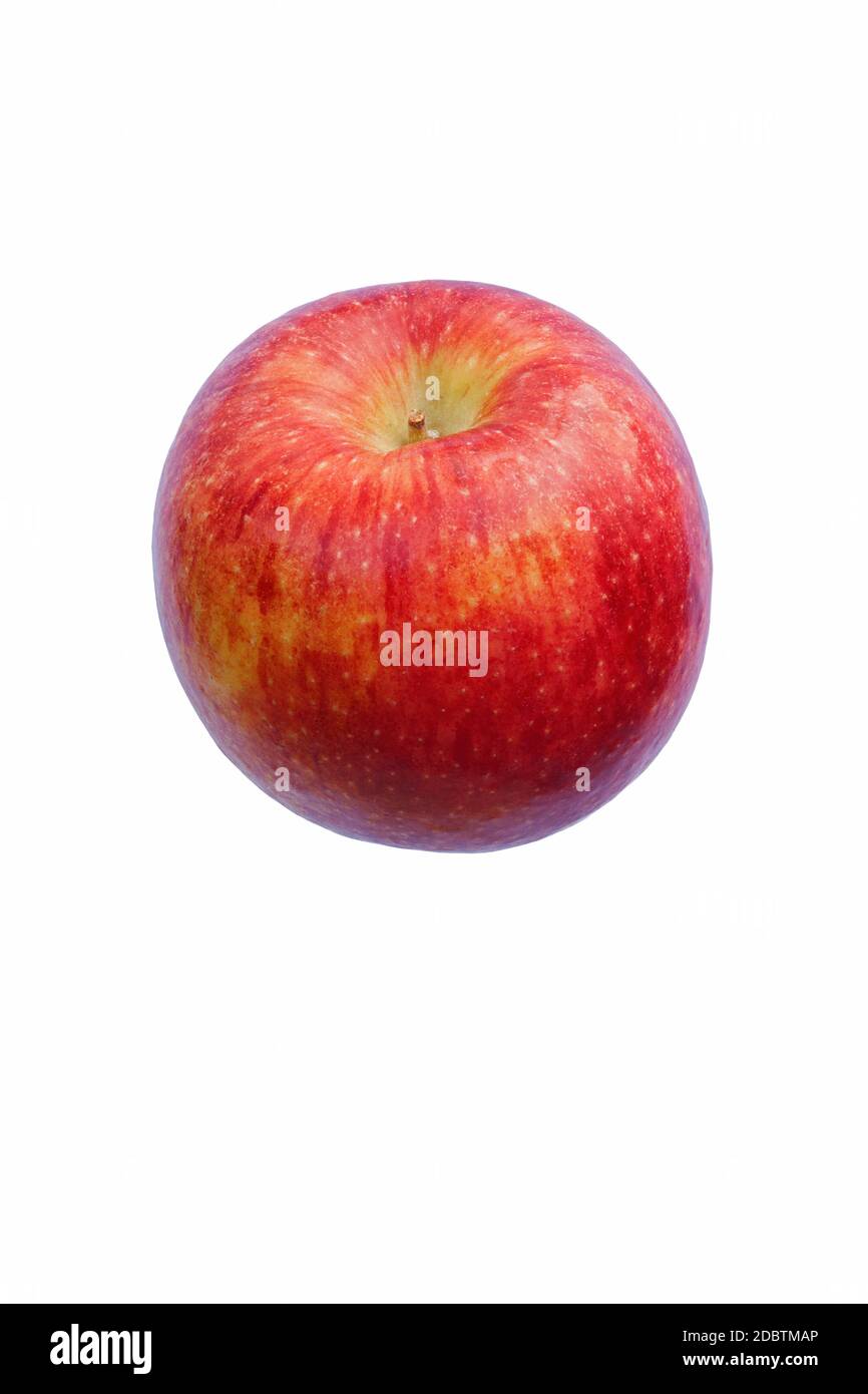 Scilate Apfel (Malus domestica Scilate). Hybrid zwischen Royal Gala und Braeburn Äpfeln. Auch bekannt als Envy Apfel. Bild eines einzelnen Apfels isoliert auf wh Stockfoto