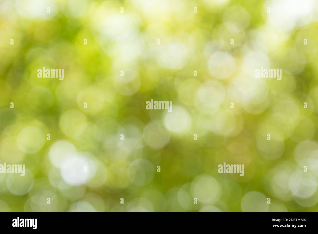 Gelbe Leuchten Rundschreiben bokeh für Weihnachten Hintergrund verschwommen, De konzentrierte sich abstrakte Rundschreiben bokeh Stockfoto