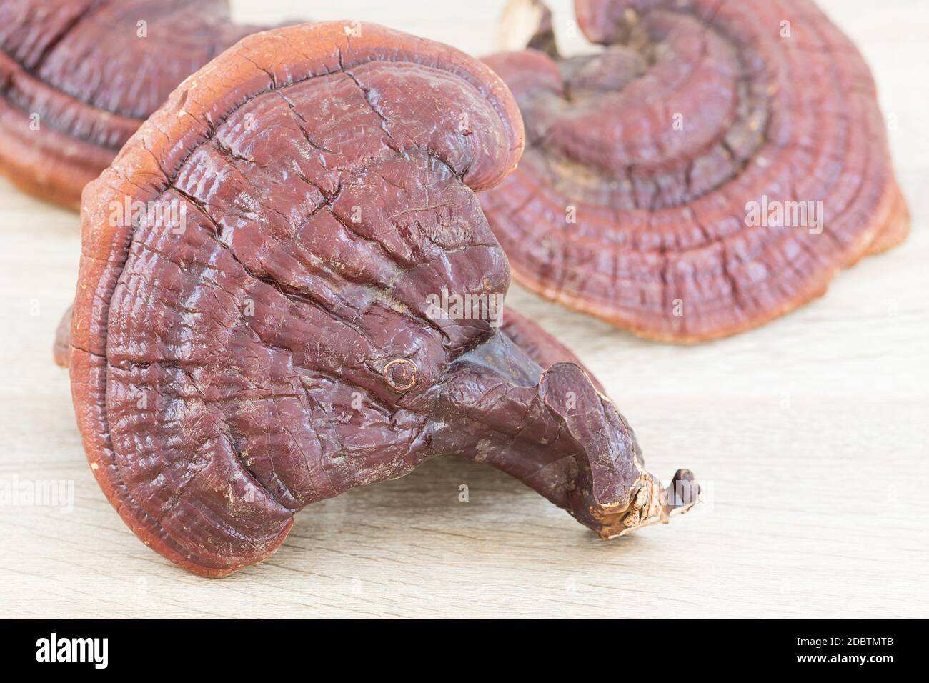 Ganoderma Lucidum Pilz oder Ling Zhi Pilz auf Holz Hintergrund Stockfoto