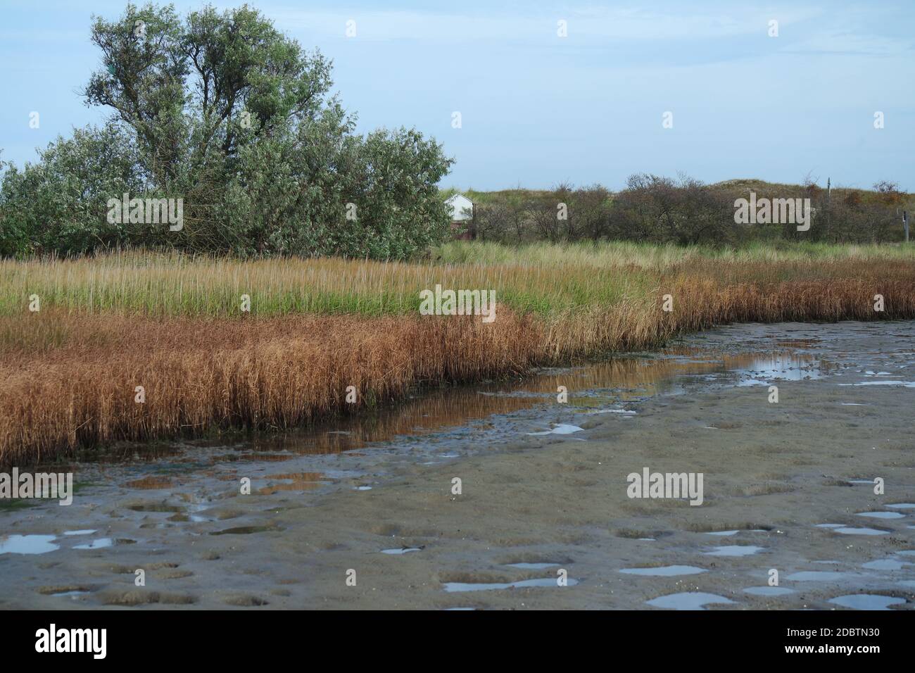 Naturschutzgebiet Graswarder, Heiligenhafen Stockfoto