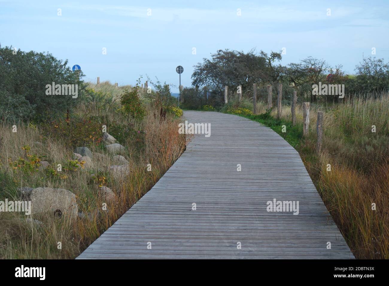 Naturschutzgebiet Graswarder, Heiligenhafen Stockfoto