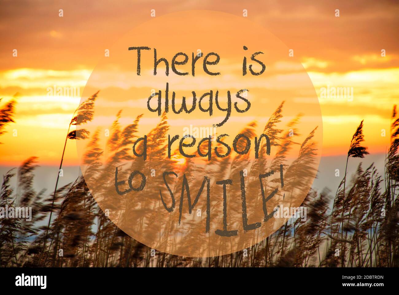 English Zitat Es gibt immer EINEN Grund zu beginnen. Strandgras Bei  Sonnenaufgang Oder Sonnenuntergang Im Hintergrund Stockfotografie - Alamy