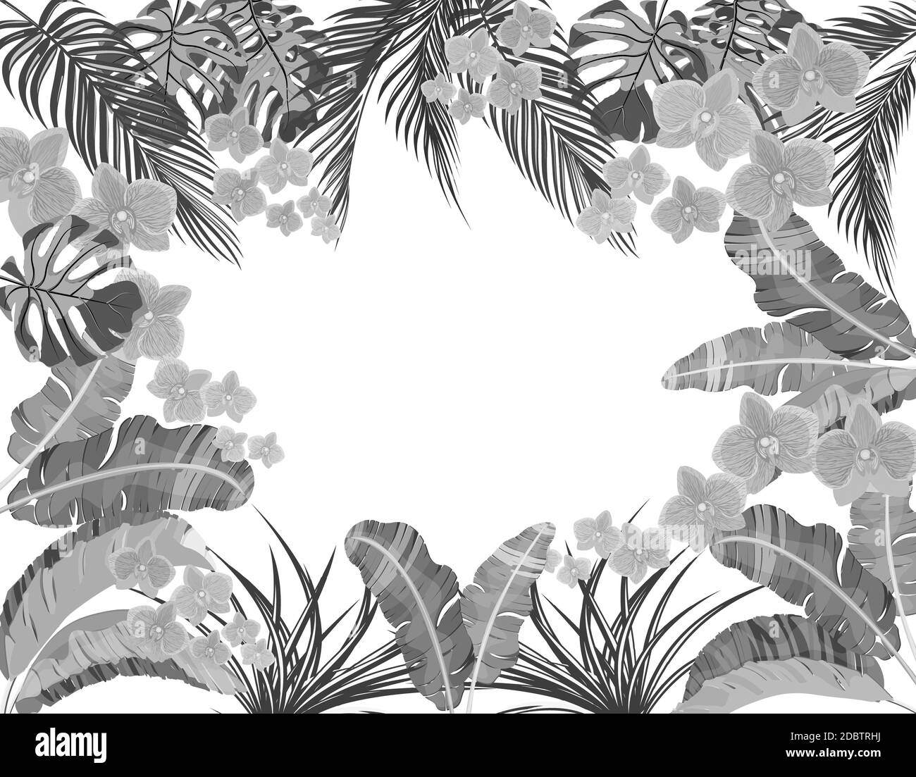Tropische Blätter von Banane, Kokos, Monstera und ogawa, rosa Orchidee in schwarz-weiß-Version. Platz für Werbung, Werbung. Vektordarstellung Stockfoto