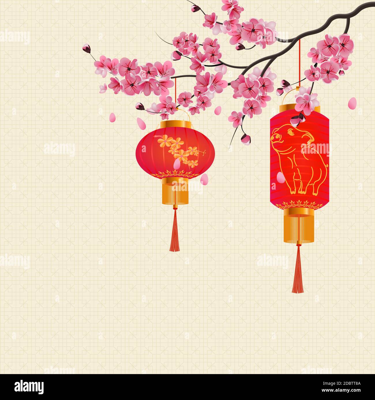 Das chinesische Neujahr. Zwei rote Lichter auf dem Zweig Kirsche Farbe mit violetten Blüten. Bild von einem Schwein. Vector Illustration Stockfoto