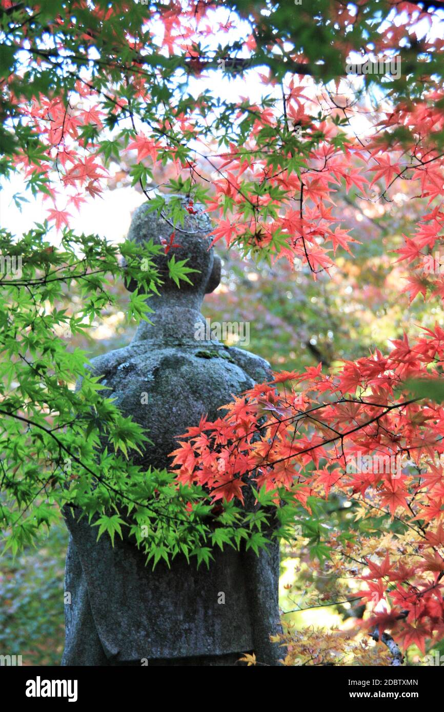 Abgeschiedenen, historischen Tempel mit einer ruhigen Atmosphäre & friedliche Gartenumgebung. Shuon-an Ikkyuji in Kyoto Stockfoto