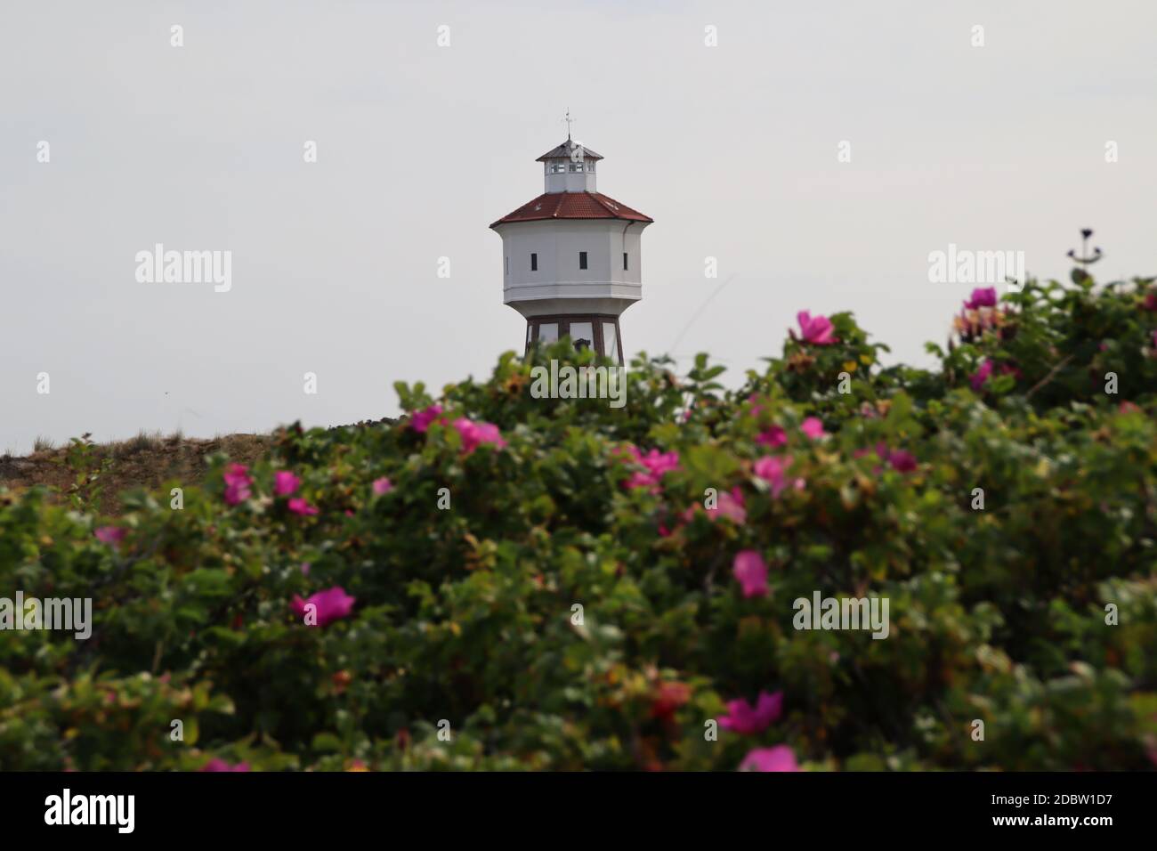 Der Wasserturm in Langeoog Stockfoto