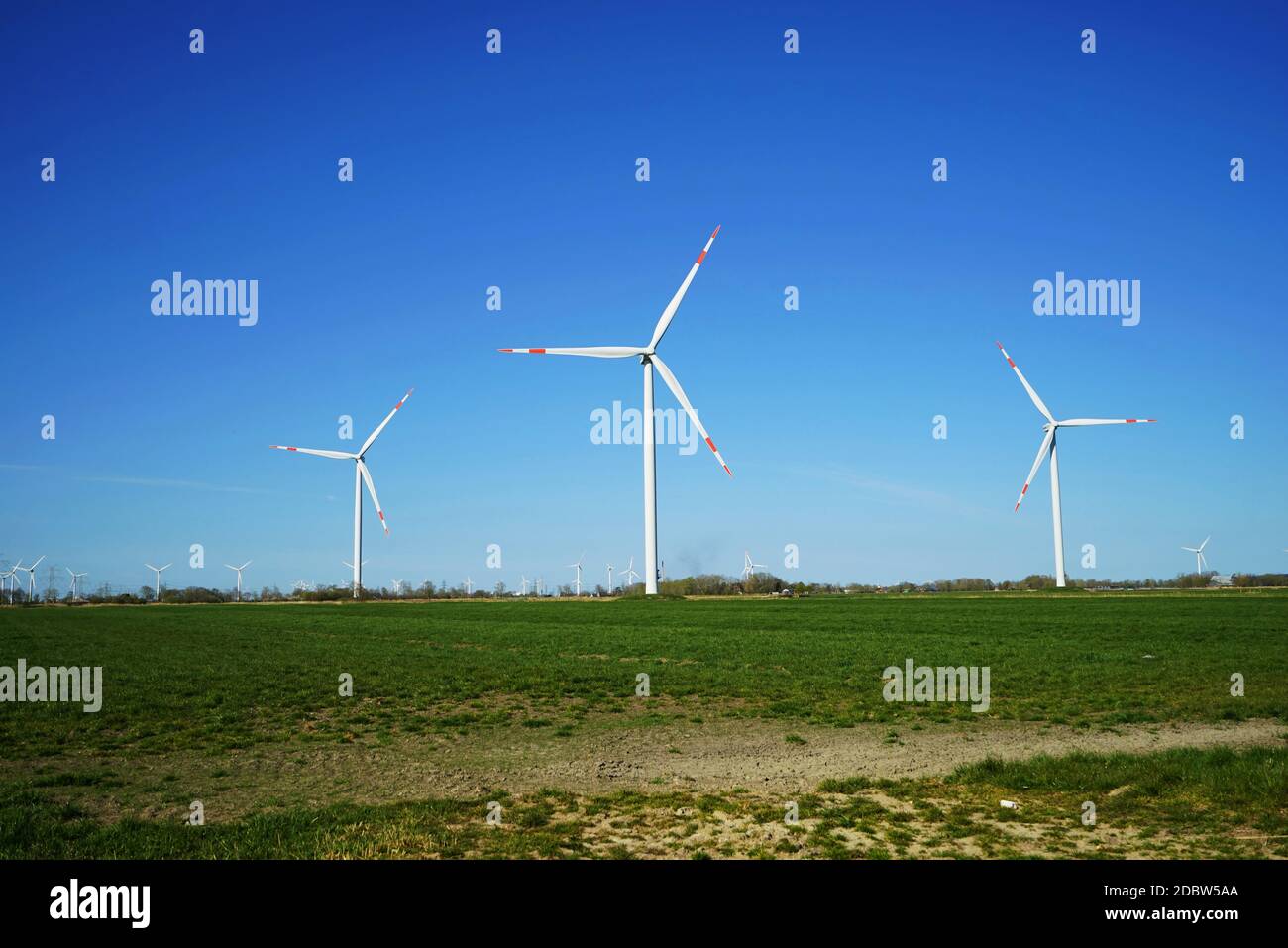 Windturbinen unter blauem Himmel im Sommer Stockfoto