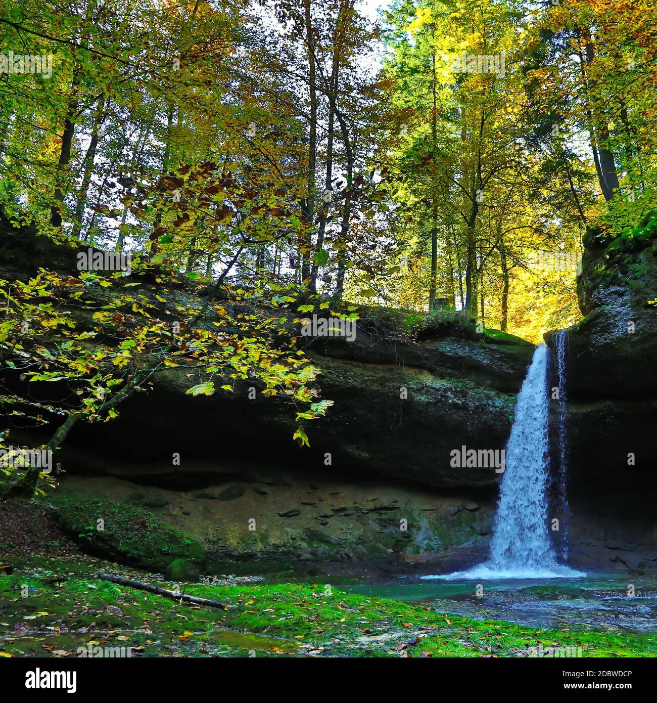 Ein romantischer Wasserfall im Wald von Bayern Stockfoto