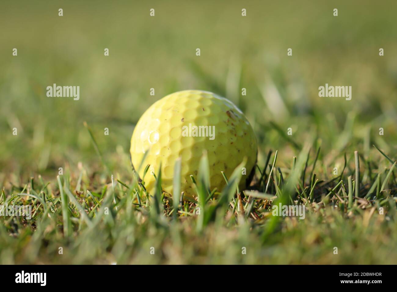 Szenen aus dem Sport Golf. Eindrücke vom Golfplatz bei schönem Wetter. Stockfoto