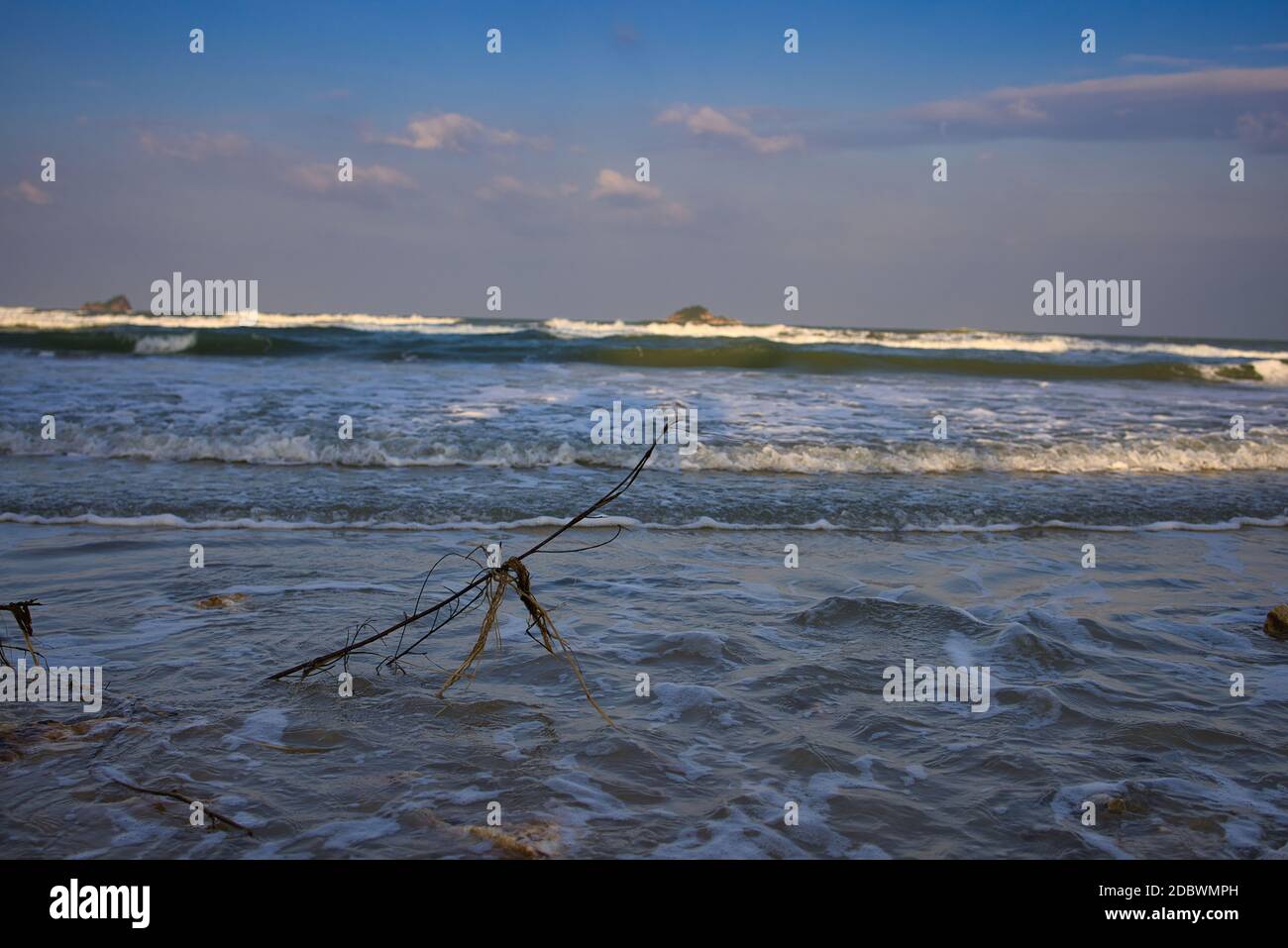 Dies ist der Naturstrand von Khao Tao Hua hin bei Nacht! Im Hintergrund hat das Meer Äste angespült und die Steine sehen eine wunderschöne natürliche Idylle aus! Stockfoto
