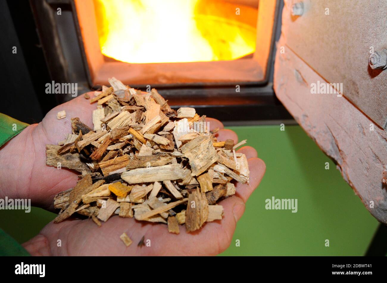 Hackschnitzel in den Händen halten, im Ofen hinten Feuer brennen, zu Hause  mit Hackschnitzel erhitzen Stockfotografie - Alamy