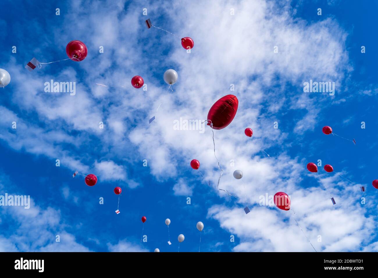 Viele ausgestrahlte fliegende Luftballons mit Karte in blauem Himmel - Hochzeitsballons Stockfoto