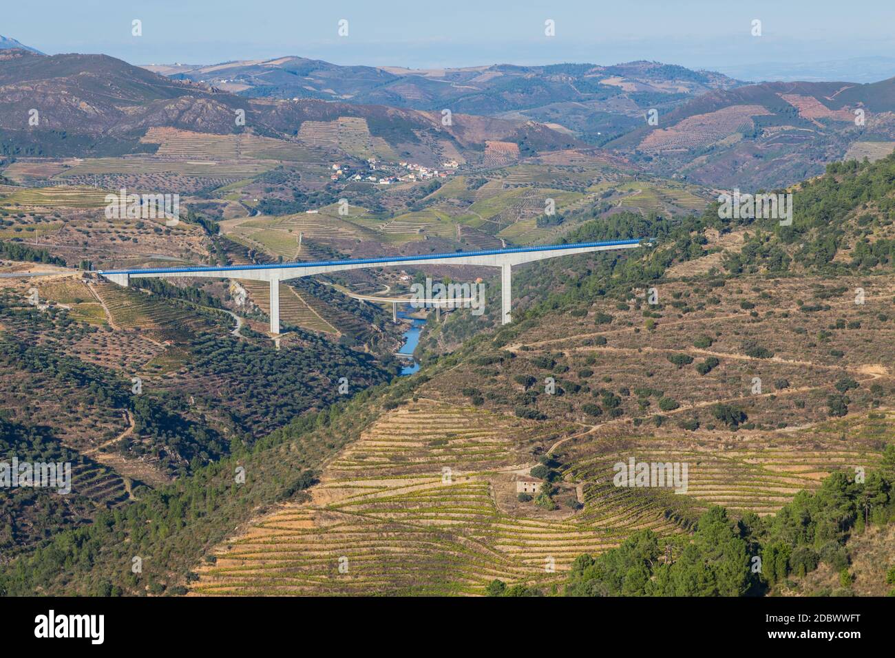 Landschaftlich reizvolle Aussicht auf das Douro-Tal und den Fluss mit terrassenförmig angelegten Weinbergen in der Nähe des Dorfes Tua, Portugal Stockfoto