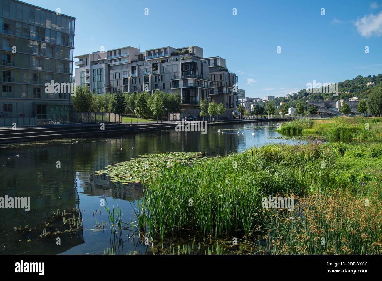 Zusammenfluss, Lyon, Rhone, Frankreich Stockfoto