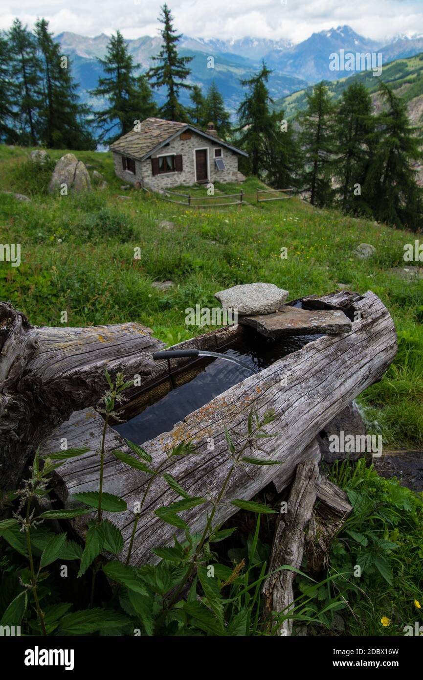 Chantelle, Parc du grand Paradis, Val d'aoste, Italien Stockfoto