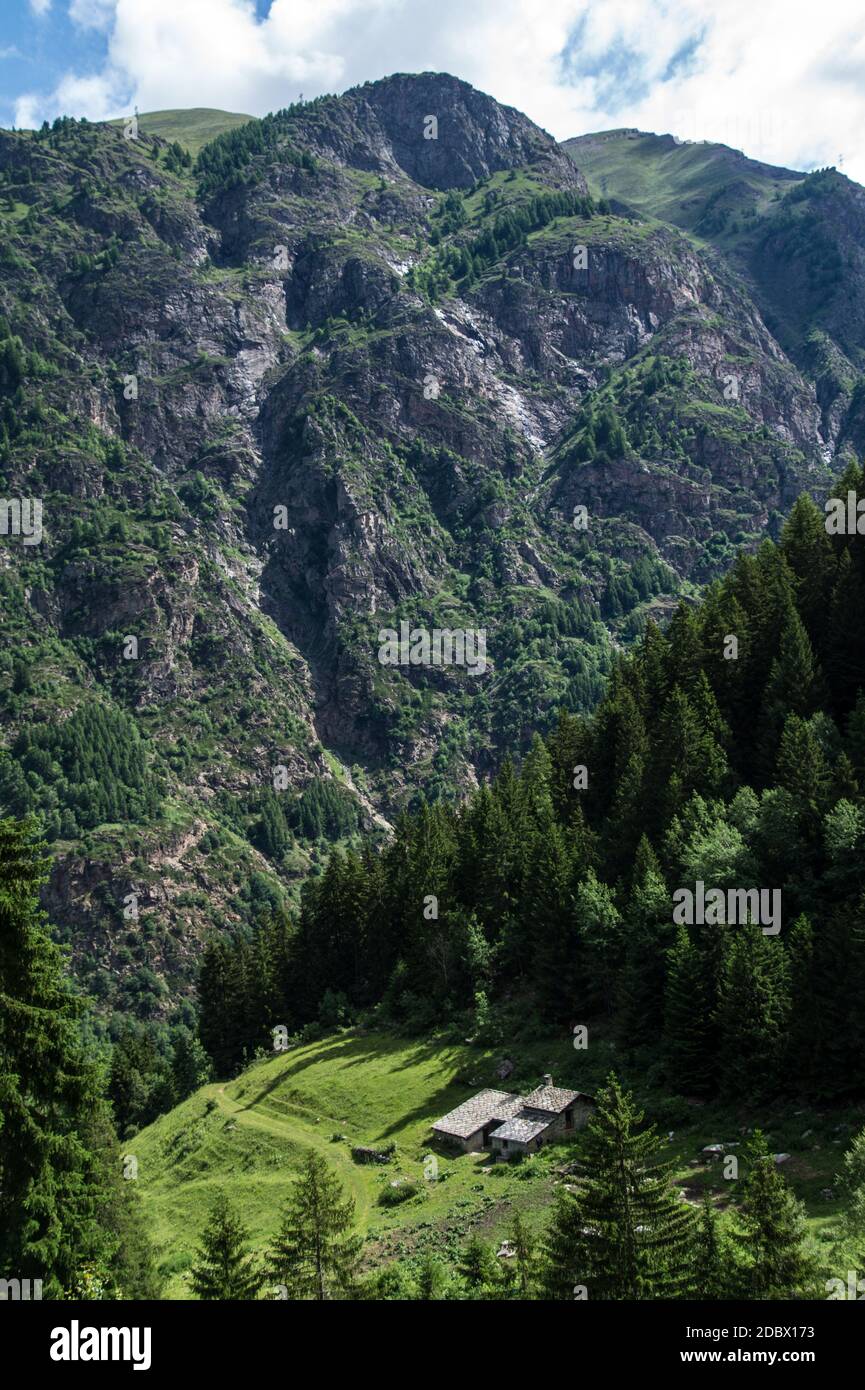 Synernoire, Parc grand Paradis, Val d'aoste, Italien Stockfoto