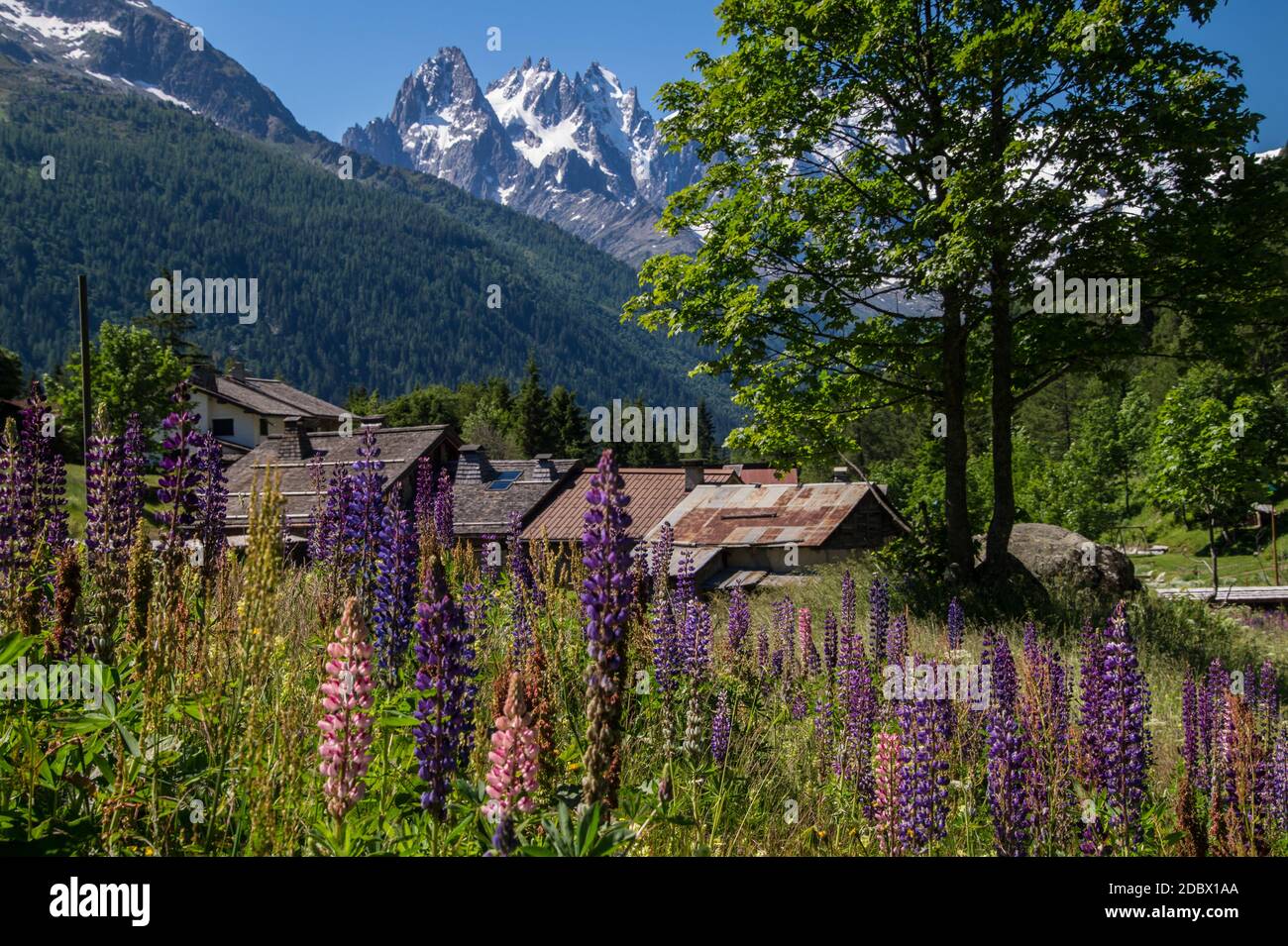 Trelechamp, Chamonix, haute Savoie, Frankreich Stockfoto