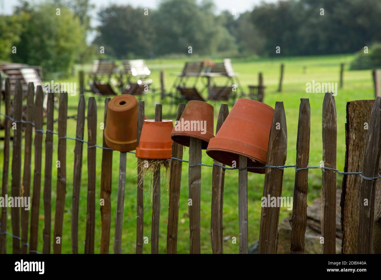 Alte Blumentöpfe auf einem Zaun, Eindruck von einem Roadtrip in die ländliche Landschaft Mecklenburg-Vorpommerns im Nordosten Deutschlands Stockfoto