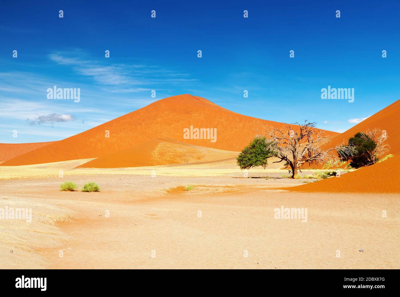 Dünen der Namib Wüste, Sossusvlei, Namibia Stockfoto