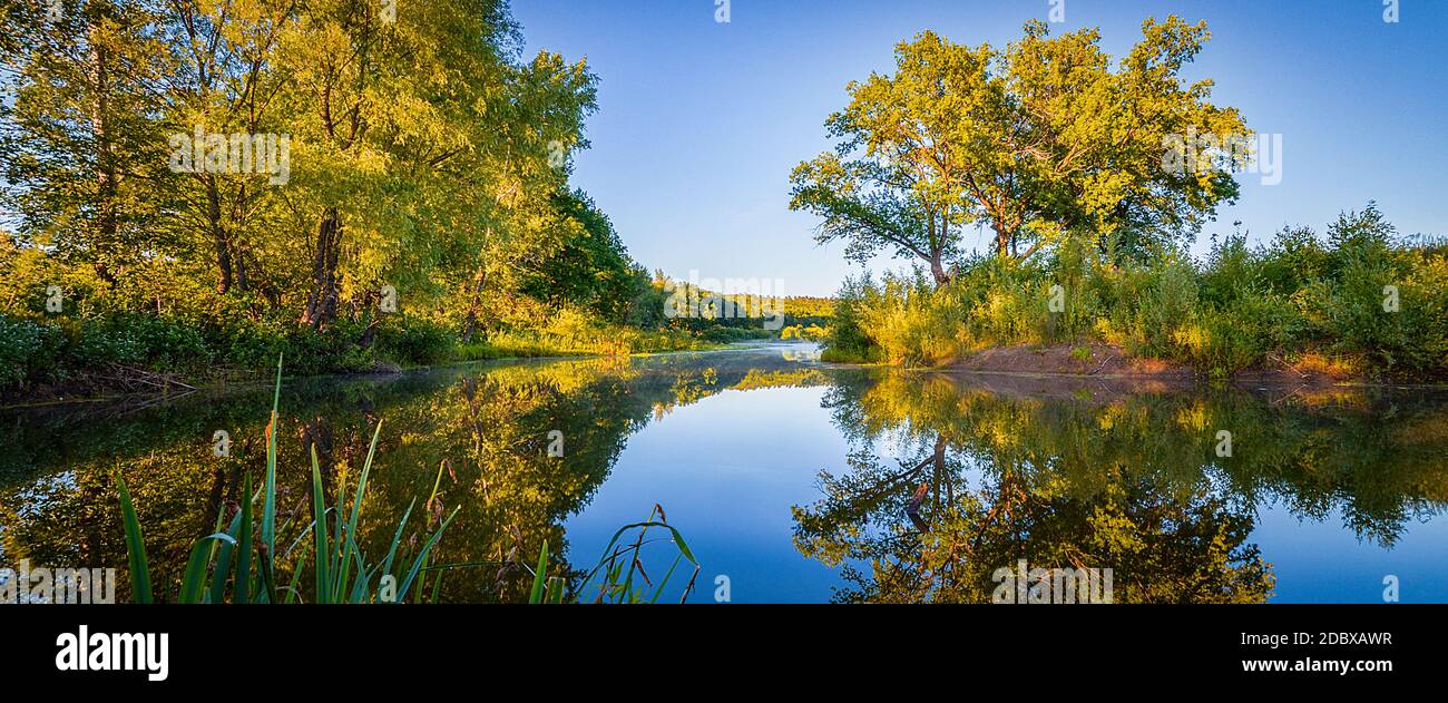 Morgen an der Flussküste, spiegeln sich Bäume im kristallklaren Wasser, auf dem Fluss über dem Wassernebel. Ländliche Naturlandschaft für Bildschirmschoner, des Stockfoto